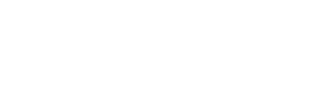 Reach North America Logo (reversed)